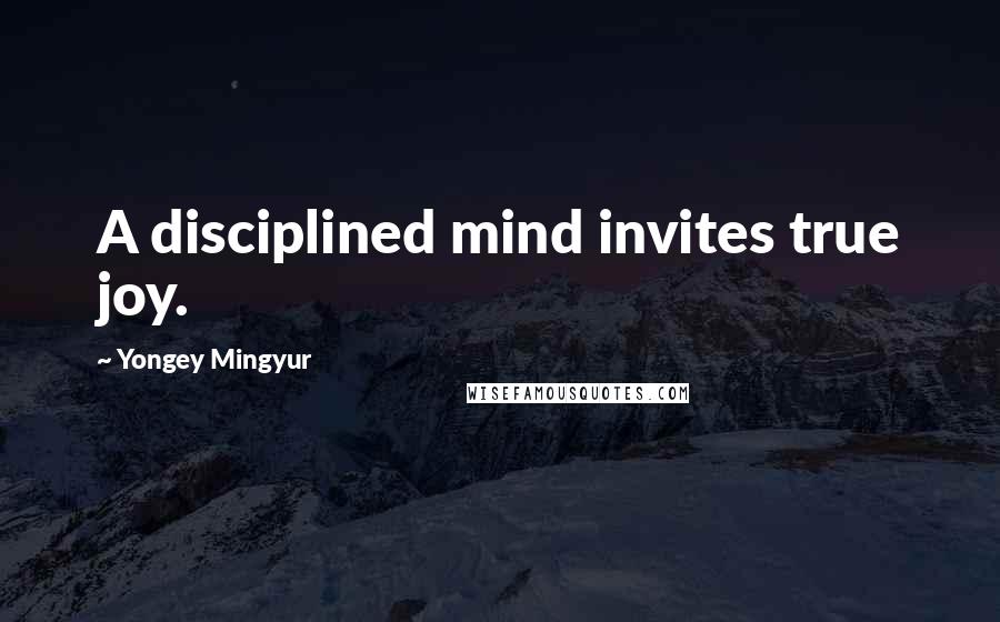 Yongey Mingyur Quotes: A disciplined mind invites true joy.