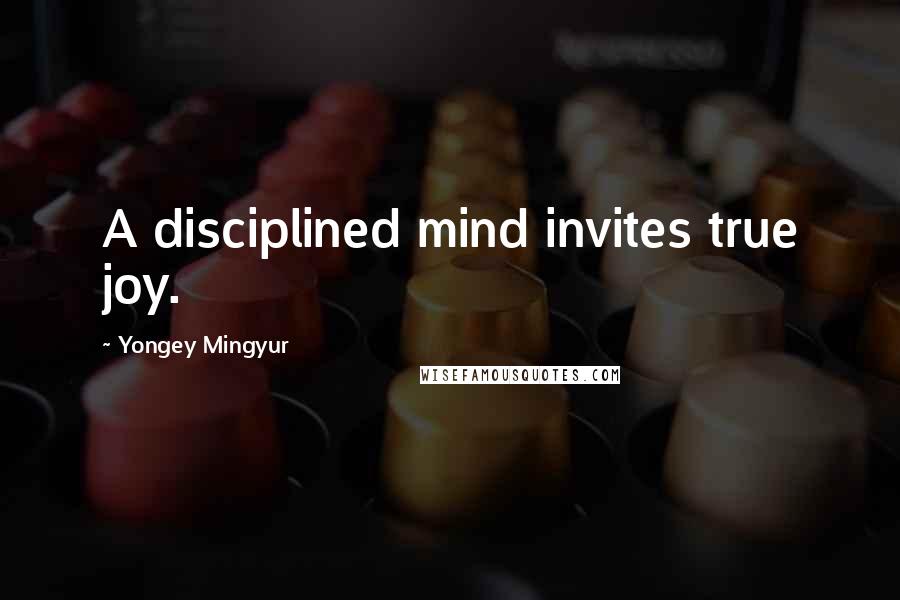 Yongey Mingyur Quotes: A disciplined mind invites true joy.