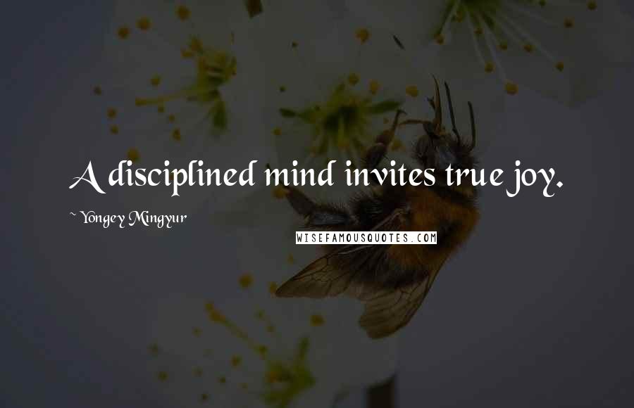 Yongey Mingyur Quotes: A disciplined mind invites true joy.