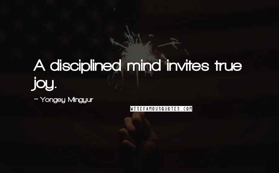 Yongey Mingyur Quotes: A disciplined mind invites true joy.