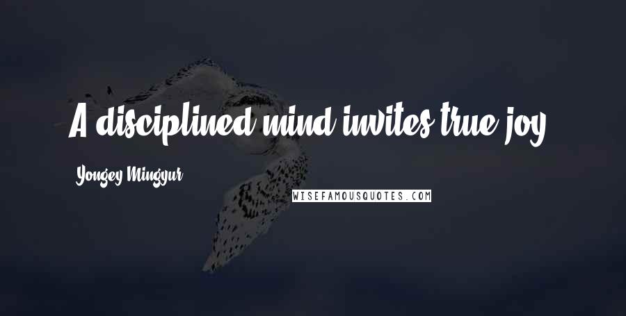 Yongey Mingyur Quotes: A disciplined mind invites true joy.