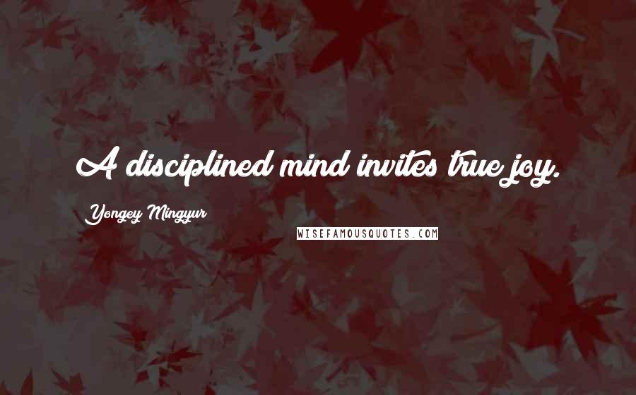 Yongey Mingyur Quotes: A disciplined mind invites true joy.