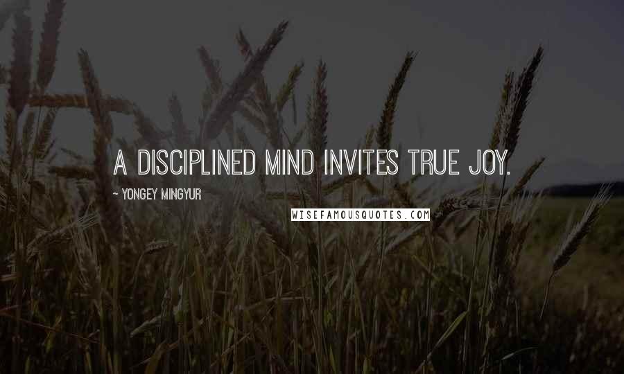Yongey Mingyur Quotes: A disciplined mind invites true joy.