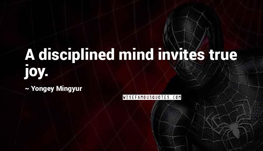 Yongey Mingyur Quotes: A disciplined mind invites true joy.
