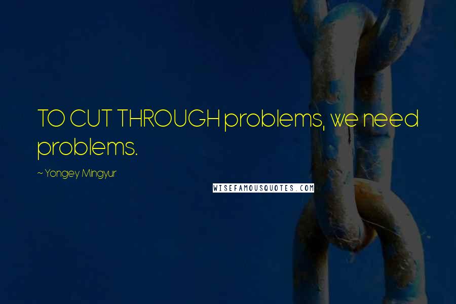 Yongey Mingyur Quotes: TO CUT THROUGH problems, we need problems.