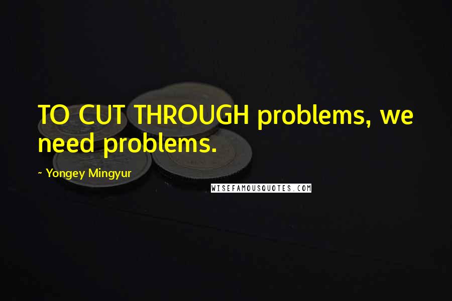 Yongey Mingyur Quotes: TO CUT THROUGH problems, we need problems.