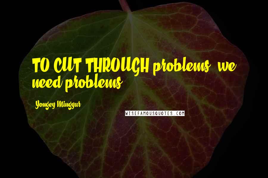 Yongey Mingyur Quotes: TO CUT THROUGH problems, we need problems.