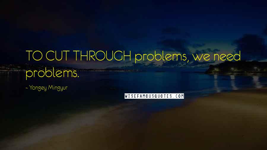 Yongey Mingyur Quotes: TO CUT THROUGH problems, we need problems.