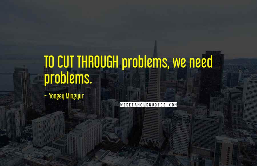 Yongey Mingyur Quotes: TO CUT THROUGH problems, we need problems.