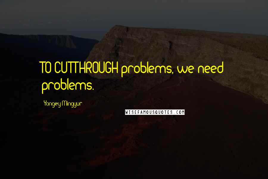 Yongey Mingyur Quotes: TO CUT THROUGH problems, we need problems.