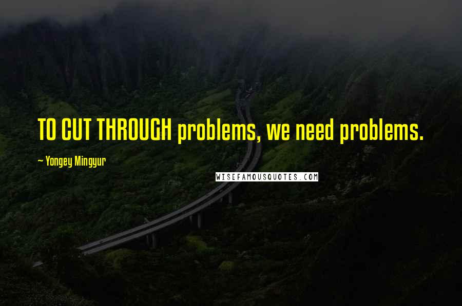 Yongey Mingyur Quotes: TO CUT THROUGH problems, we need problems.