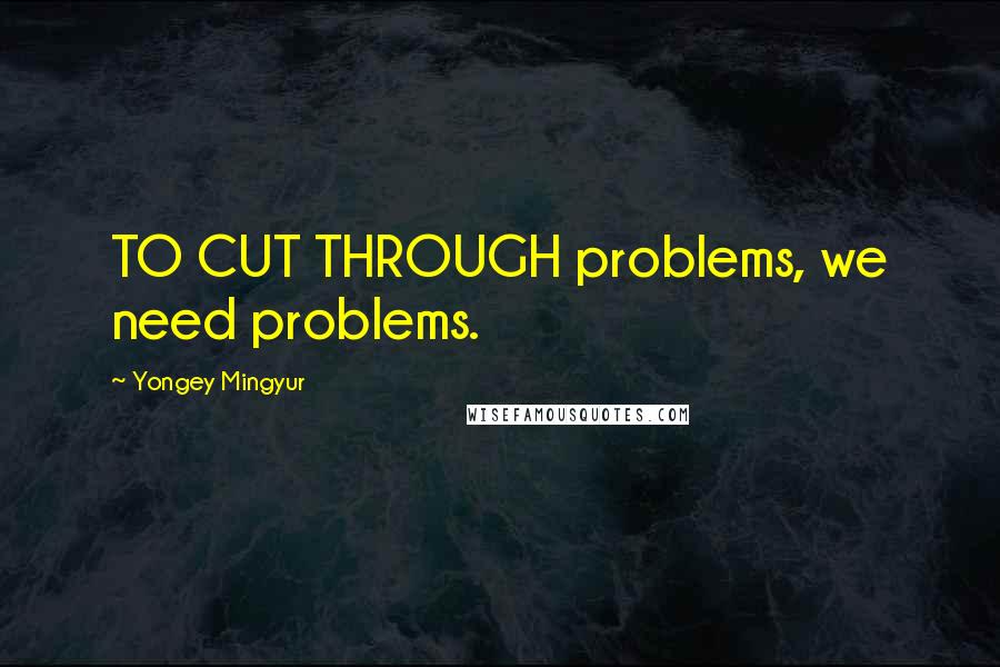 Yongey Mingyur Quotes: TO CUT THROUGH problems, we need problems.