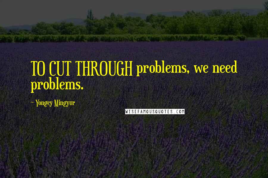 Yongey Mingyur Quotes: TO CUT THROUGH problems, we need problems.