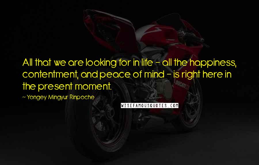 Yongey Mingyur Rinpoche Quotes: All that we are looking for in life - all the happiness, contentment, and peace of mind - is right here in the present moment.