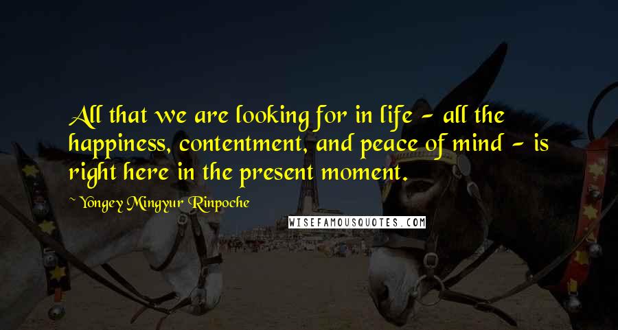 Yongey Mingyur Rinpoche Quotes: All that we are looking for in life - all the happiness, contentment, and peace of mind - is right here in the present moment.