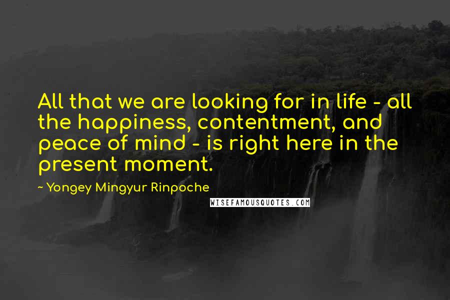 Yongey Mingyur Rinpoche Quotes: All that we are looking for in life - all the happiness, contentment, and peace of mind - is right here in the present moment.