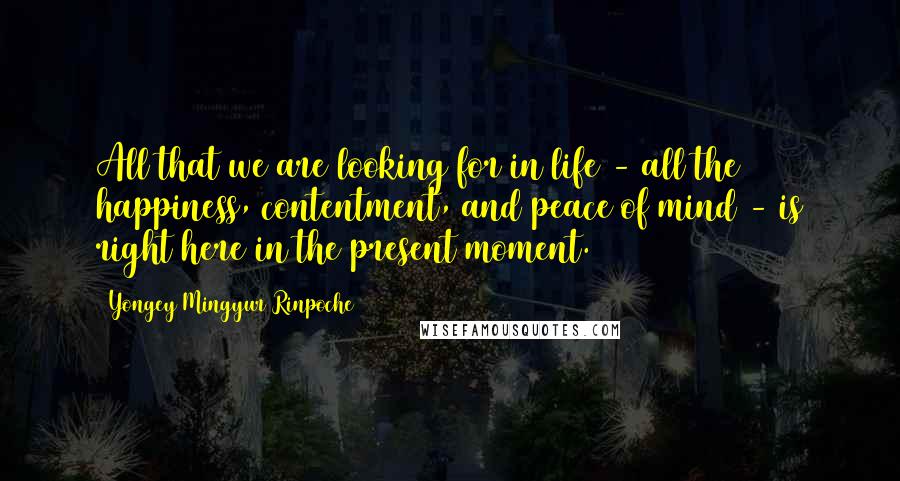 Yongey Mingyur Rinpoche Quotes: All that we are looking for in life - all the happiness, contentment, and peace of mind - is right here in the present moment.