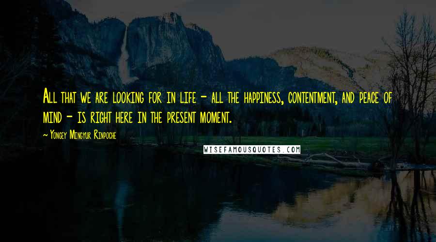 Yongey Mingyur Rinpoche Quotes: All that we are looking for in life - all the happiness, contentment, and peace of mind - is right here in the present moment.