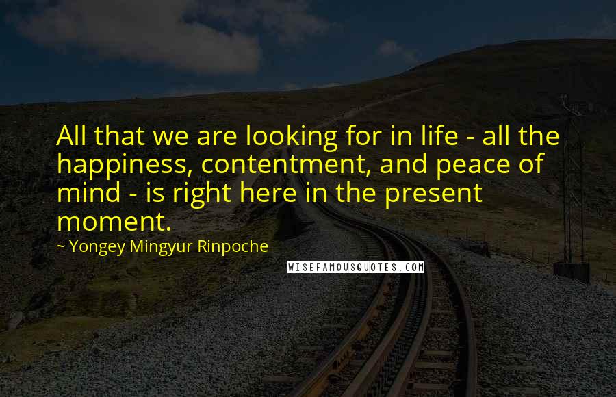 Yongey Mingyur Rinpoche Quotes: All that we are looking for in life - all the happiness, contentment, and peace of mind - is right here in the present moment.