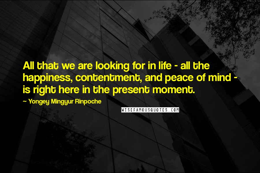 Yongey Mingyur Rinpoche Quotes: All that we are looking for in life - all the happiness, contentment, and peace of mind - is right here in the present moment.