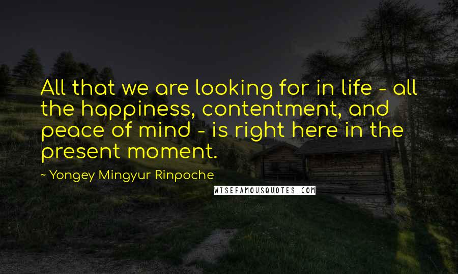Yongey Mingyur Rinpoche Quotes: All that we are looking for in life - all the happiness, contentment, and peace of mind - is right here in the present moment.