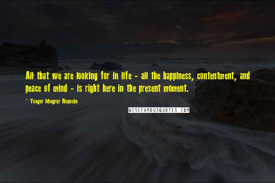 Yongey Mingyur Rinpoche Quotes: All that we are looking for in life - all the happiness, contentment, and peace of mind - is right here in the present moment.
