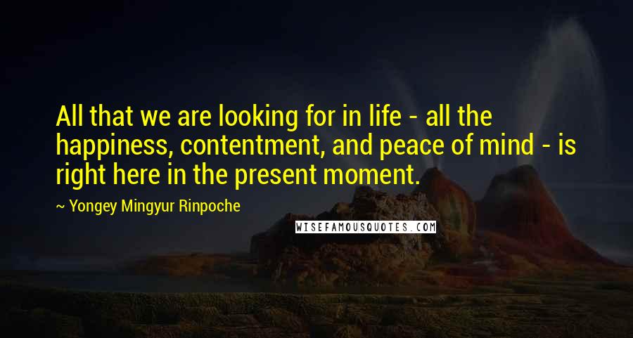 Yongey Mingyur Rinpoche Quotes: All that we are looking for in life - all the happiness, contentment, and peace of mind - is right here in the present moment.