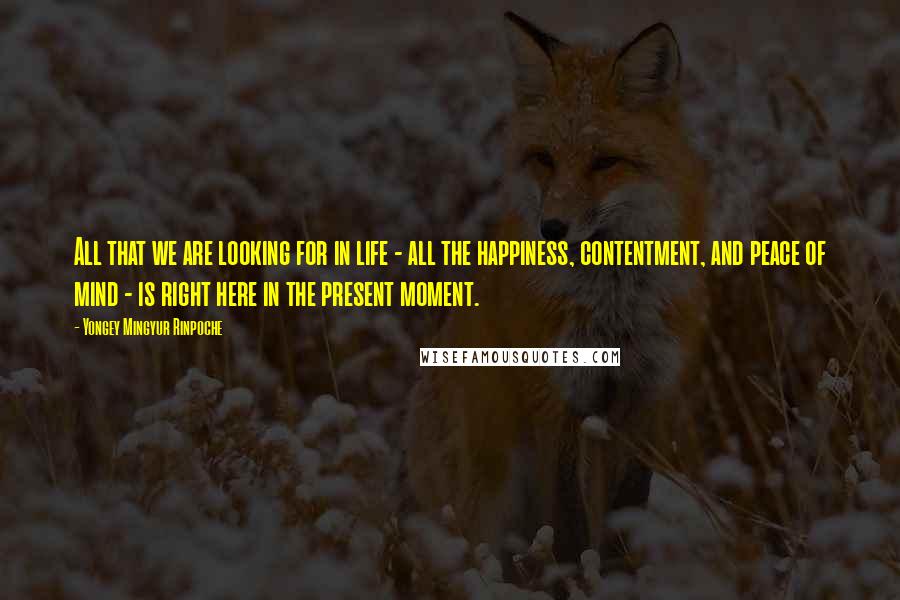Yongey Mingyur Rinpoche Quotes: All that we are looking for in life - all the happiness, contentment, and peace of mind - is right here in the present moment.