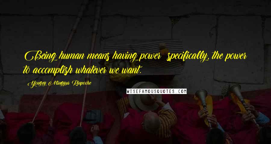 Yongey Mingyur Rinpoche Quotes: Being human means having power; specifically, the power to accomplish whatever we want.