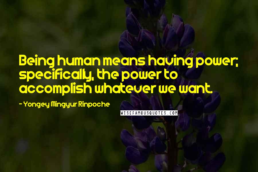 Yongey Mingyur Rinpoche Quotes: Being human means having power; specifically, the power to accomplish whatever we want.