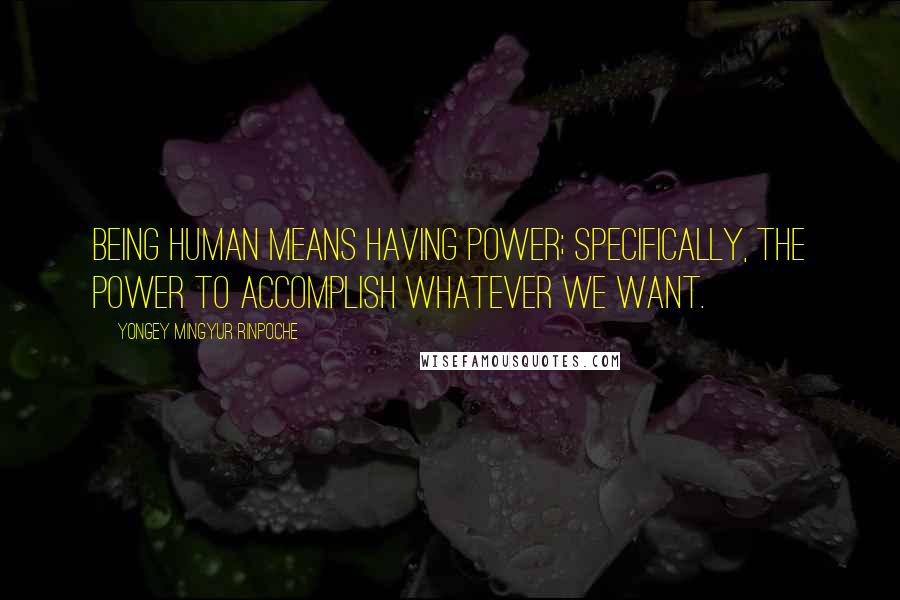 Yongey Mingyur Rinpoche Quotes: Being human means having power; specifically, the power to accomplish whatever we want.