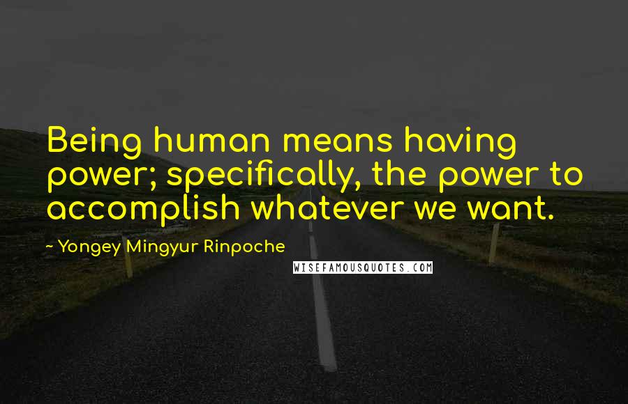 Yongey Mingyur Rinpoche Quotes: Being human means having power; specifically, the power to accomplish whatever we want.