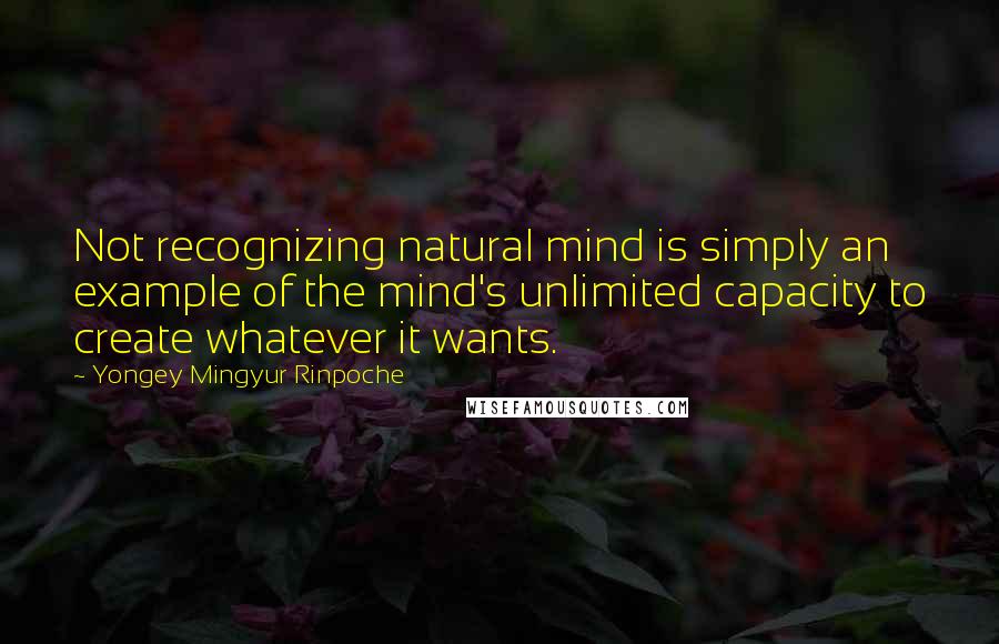 Yongey Mingyur Rinpoche Quotes: Not recognizing natural mind is simply an example of the mind's unlimited capacity to create whatever it wants.