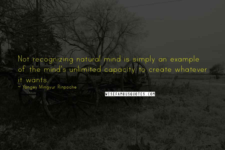 Yongey Mingyur Rinpoche Quotes: Not recognizing natural mind is simply an example of the mind's unlimited capacity to create whatever it wants.