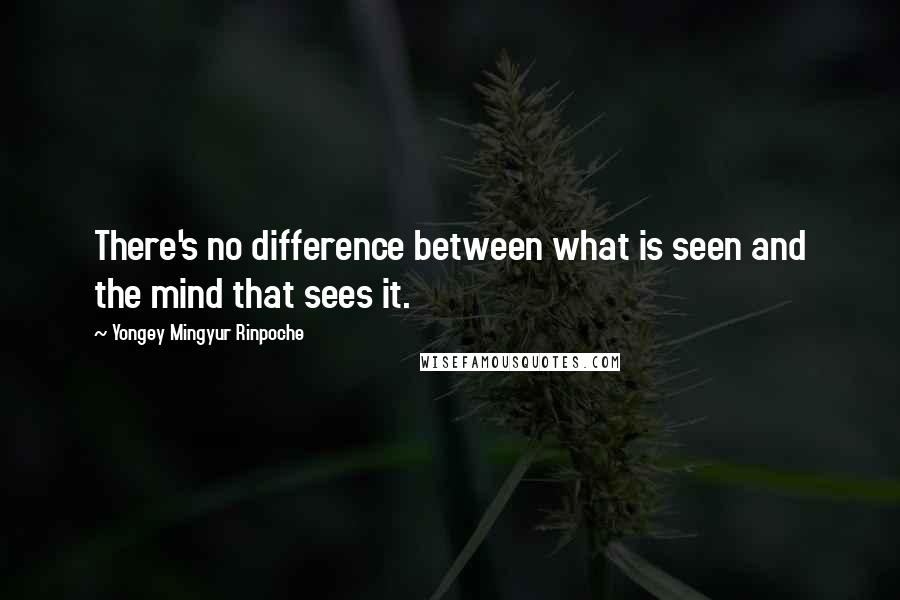 Yongey Mingyur Rinpoche Quotes: There's no difference between what is seen and the mind that sees it.