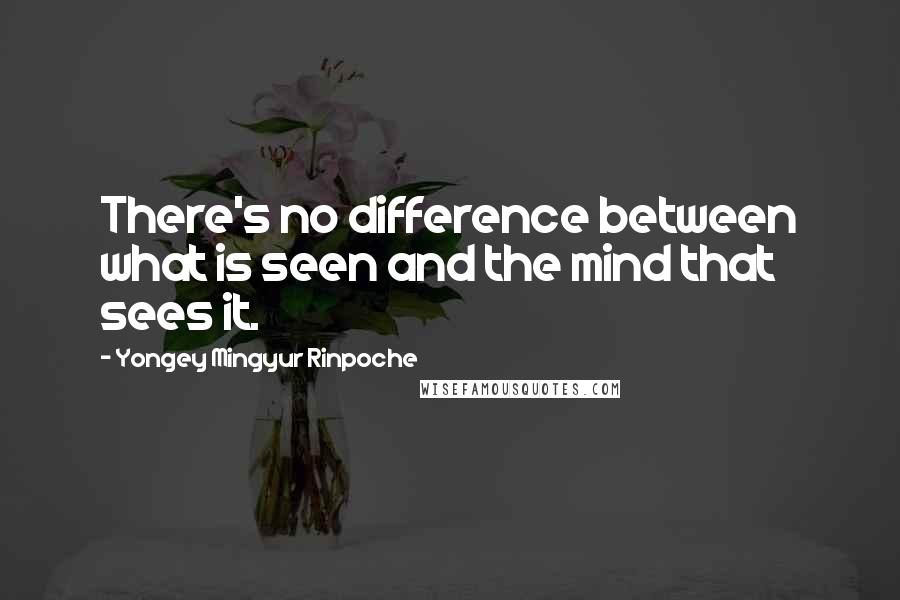 Yongey Mingyur Rinpoche Quotes: There's no difference between what is seen and the mind that sees it.