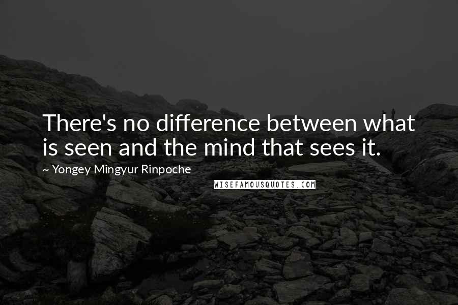 Yongey Mingyur Rinpoche Quotes: There's no difference between what is seen and the mind that sees it.