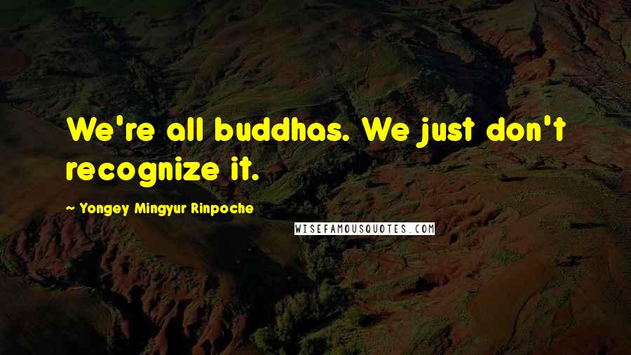 Yongey Mingyur Rinpoche Quotes: We're all buddhas. We just don't recognize it.