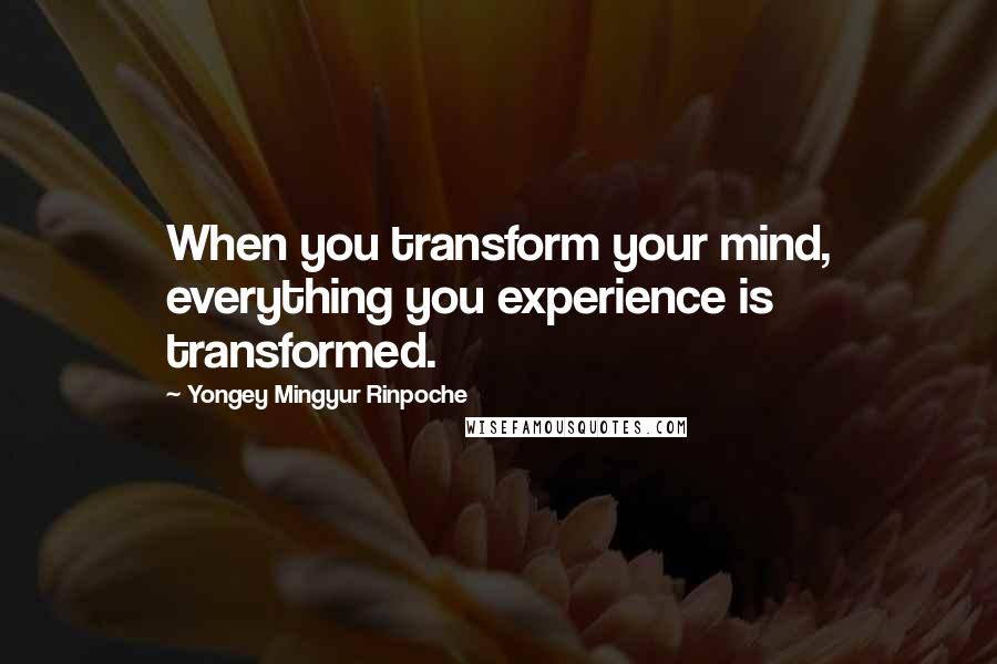 Yongey Mingyur Rinpoche Quotes: When you transform your mind, everything you experience is transformed.