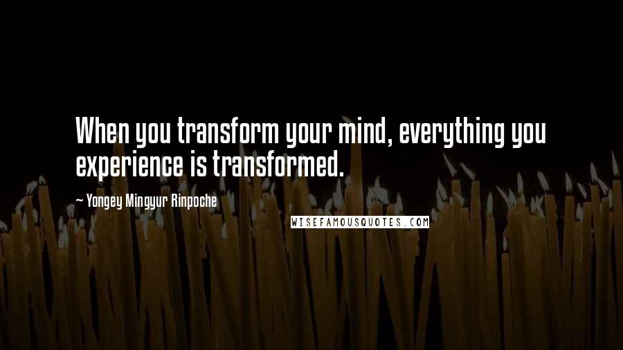 Yongey Mingyur Rinpoche Quotes: When you transform your mind, everything you experience is transformed.