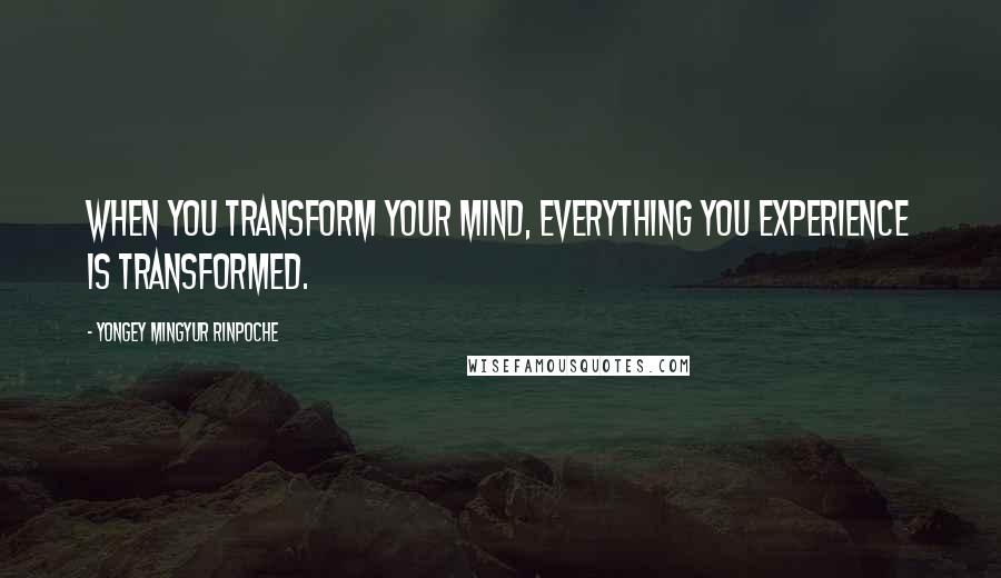 Yongey Mingyur Rinpoche Quotes: When you transform your mind, everything you experience is transformed.