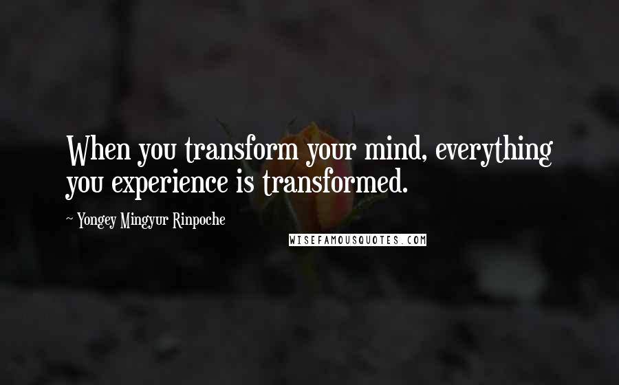 Yongey Mingyur Rinpoche Quotes: When you transform your mind, everything you experience is transformed.