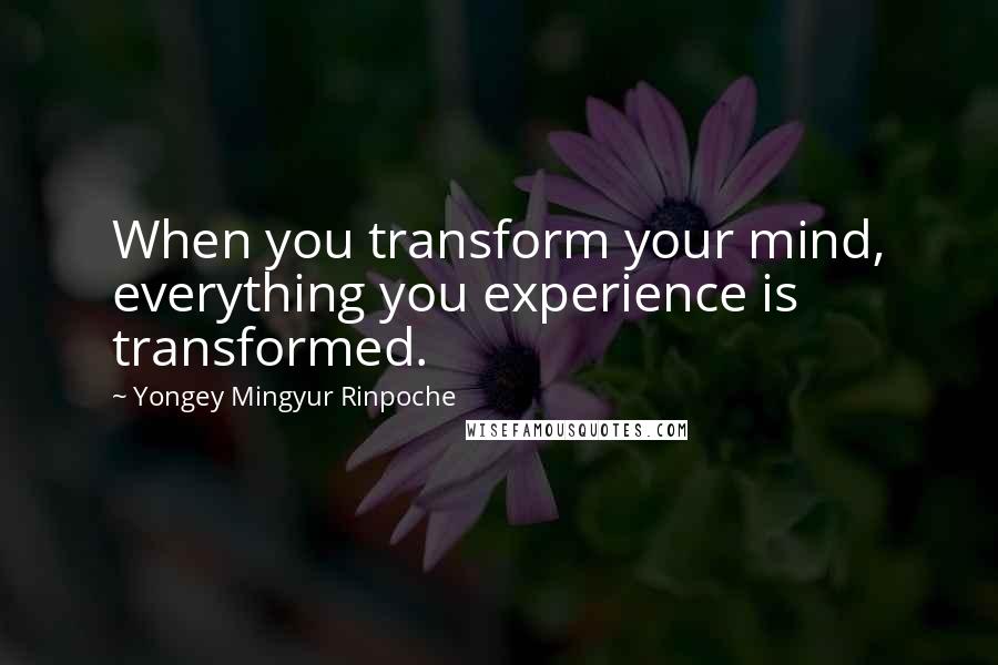 Yongey Mingyur Rinpoche Quotes: When you transform your mind, everything you experience is transformed.