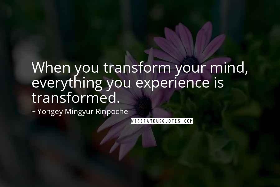 Yongey Mingyur Rinpoche Quotes: When you transform your mind, everything you experience is transformed.