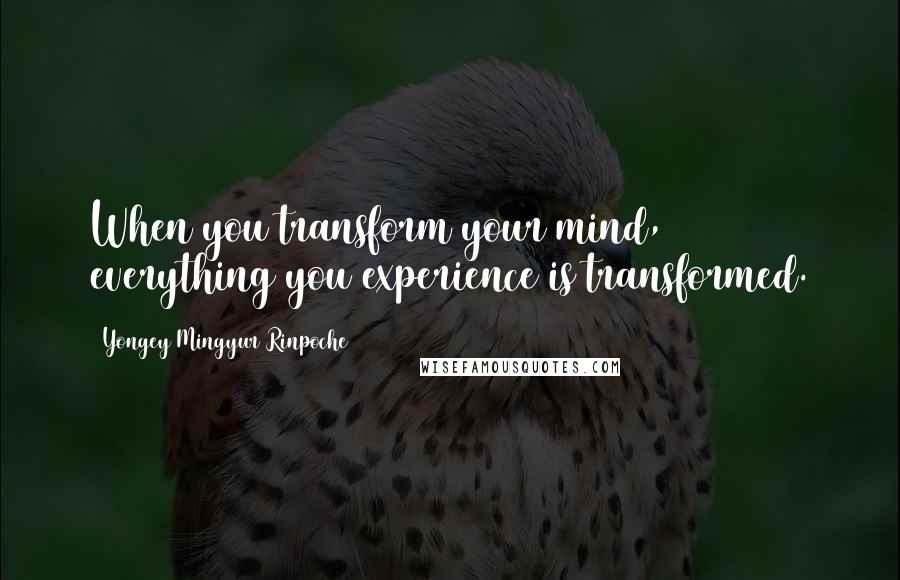 Yongey Mingyur Rinpoche Quotes: When you transform your mind, everything you experience is transformed.