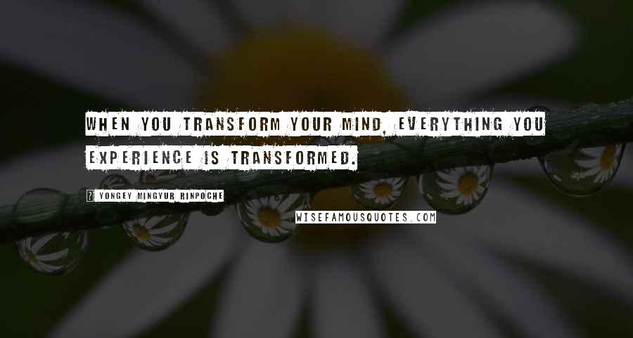 Yongey Mingyur Rinpoche Quotes: When you transform your mind, everything you experience is transformed.