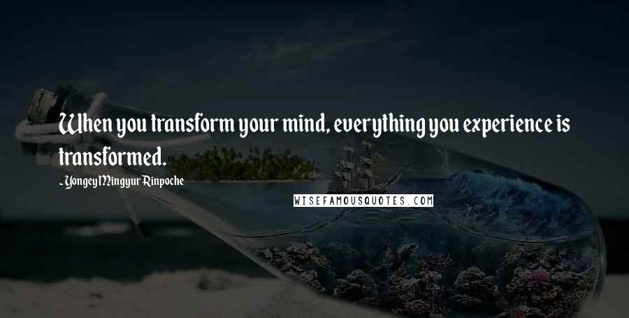 Yongey Mingyur Rinpoche Quotes: When you transform your mind, everything you experience is transformed.