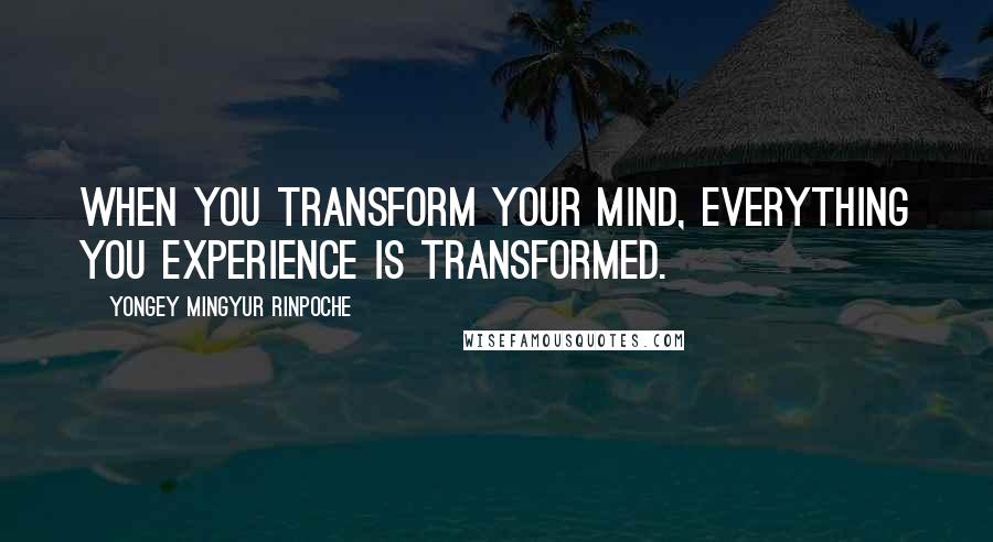 Yongey Mingyur Rinpoche Quotes: When you transform your mind, everything you experience is transformed.