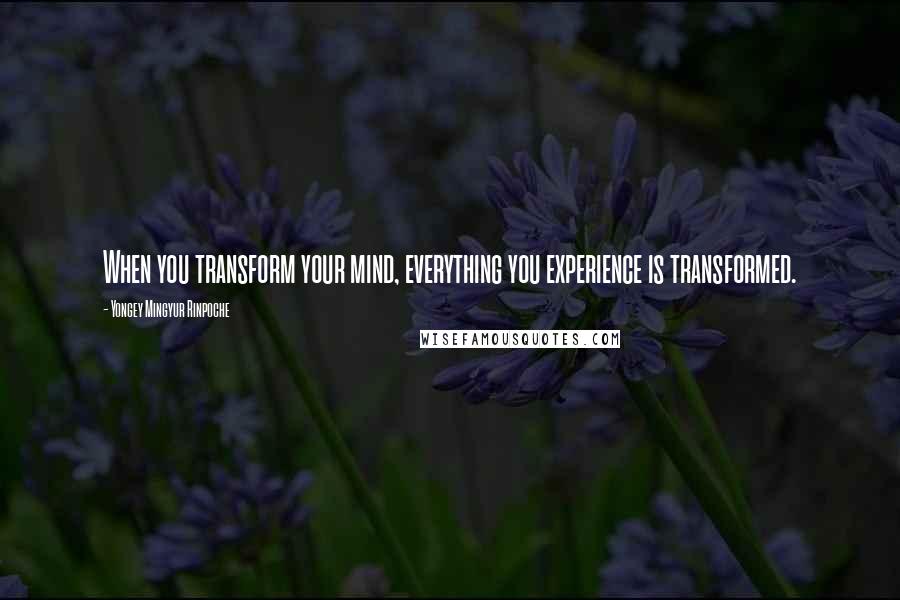 Yongey Mingyur Rinpoche Quotes: When you transform your mind, everything you experience is transformed.