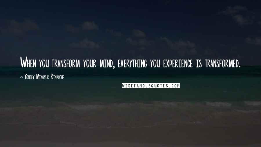 Yongey Mingyur Rinpoche Quotes: When you transform your mind, everything you experience is transformed.